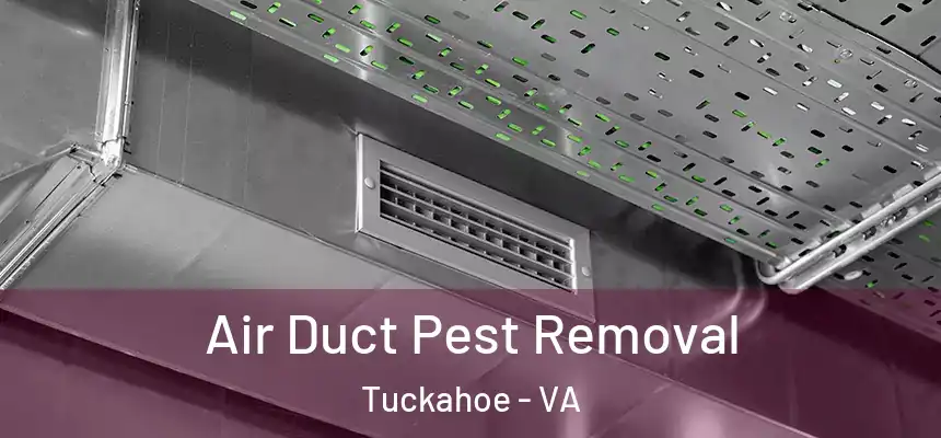  Air Duct Pest Removal Tuckahoe - VA