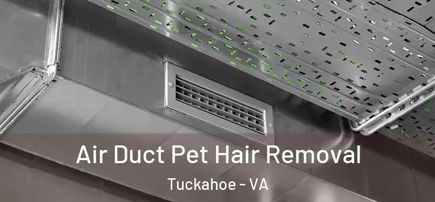  Air Duct Pet Hair Removal Tuckahoe - VA