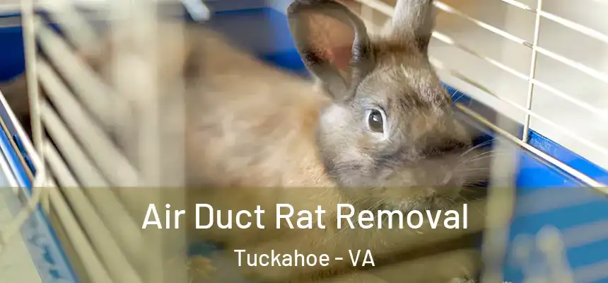  Air Duct Rat Removal Tuckahoe - VA