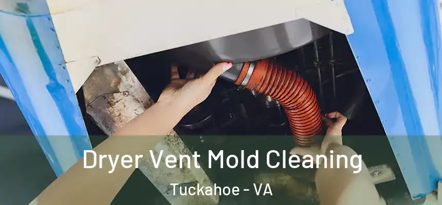  Dryer Vent Mold Cleaning Tuckahoe - VA