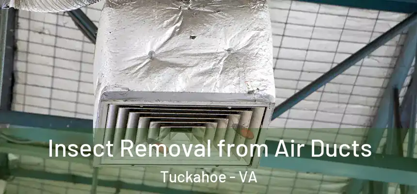  Insect Removal from Air Ducts Tuckahoe - VA