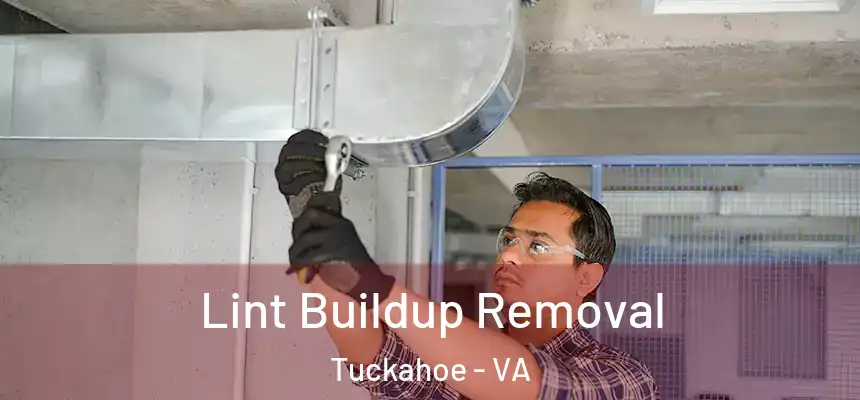 Lint Buildup Removal Tuckahoe - VA