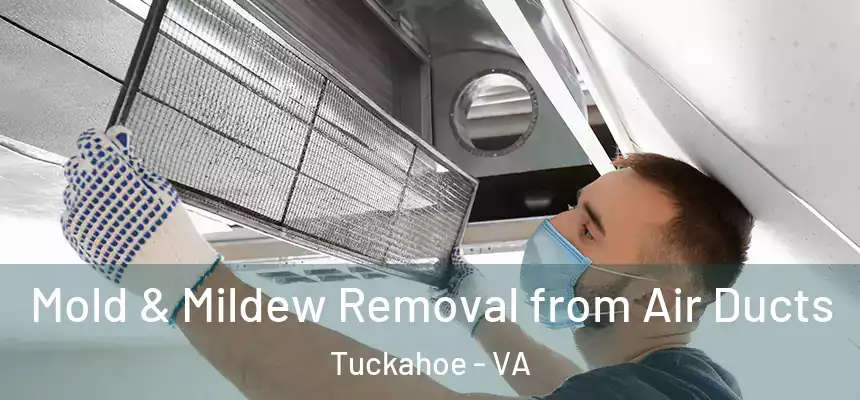  Mold & Mildew Removal from Air Ducts Tuckahoe - VA
