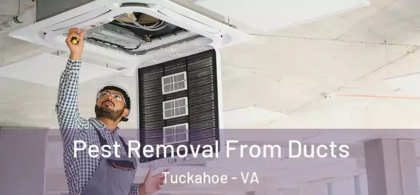 Pest Removal From Ducts Tuckahoe - VA