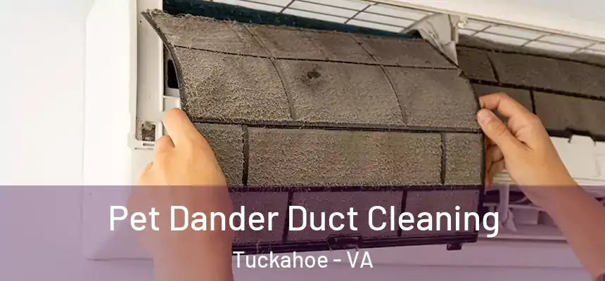  Pet Dander Duct Cleaning Tuckahoe - VA