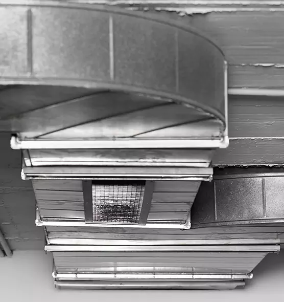 Professional Air Duct Pest Removal in Tuckahoe, VA