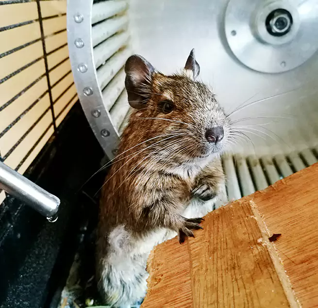 Why Homeowners & Businesses Trust Us Tuckahoe, VA?