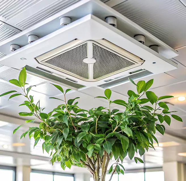 Why Homeowners & Businesses Trust Us in Tuckahoe, VA?