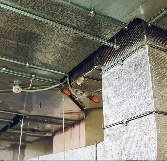 Why Homeowners & Businesses Trust Us Tuckahoe, VA?