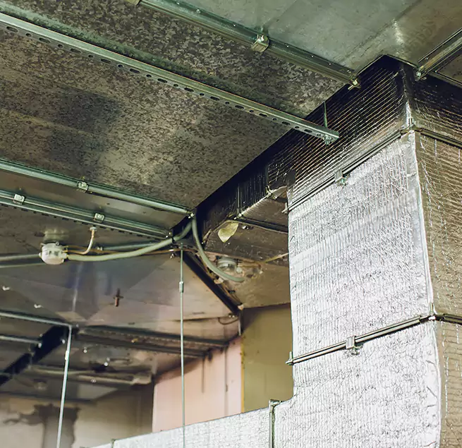 Why Homeowners & Businesses Trust Us in Tuckahoe, VA?